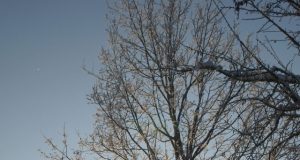 Žiemiški orai nežada trauktis.