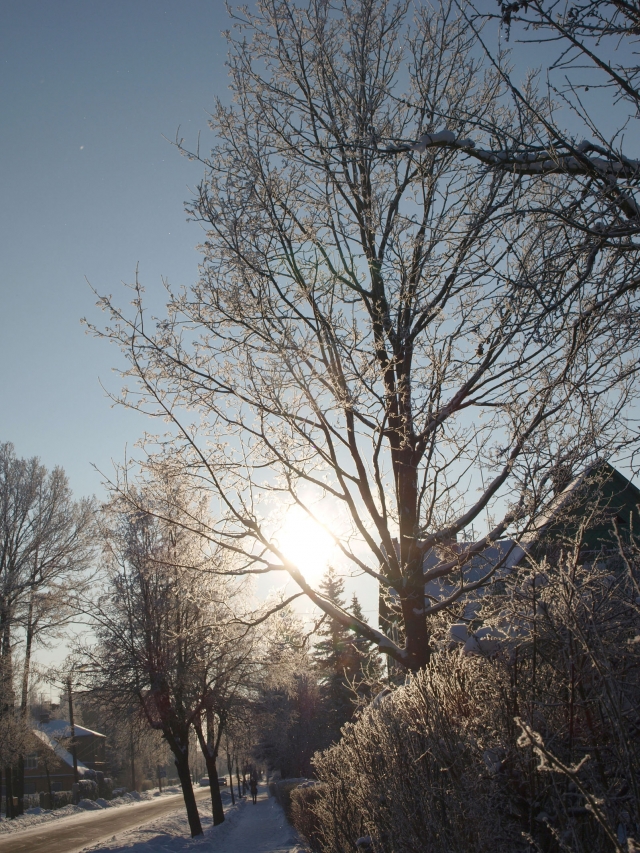 Žiemiški orai nežada trauktis.