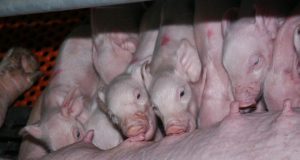 Redakcijos archyvo nuotr.