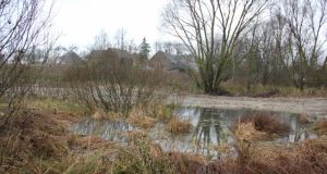 Nusikaltimo pėdsakams paslėpti žudikai pasirinko atokią kūdrą. A.Minkevičienės nuotr.