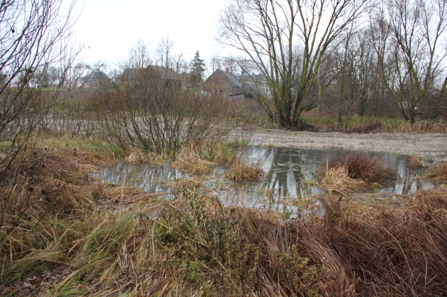 Nusikaltimo pėdsakams paslėpti žudikai pasirinko atokią kūdrą. A.Minkevičienės nuotr.