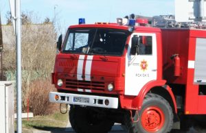 Uždegė gyvatvorę Redakcijos archyvo nuotr.